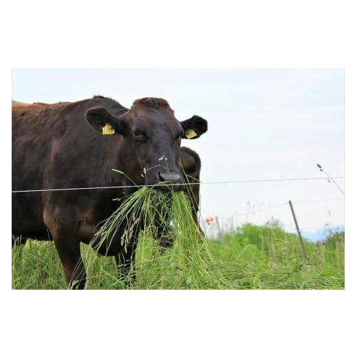 ふるさと納税 牛肉 ハンバーグ 福岡県 大川市 (全5回定期便) A5〜4等級 博多和牛100％使用 博多和牛ハンバーグ 10個_5