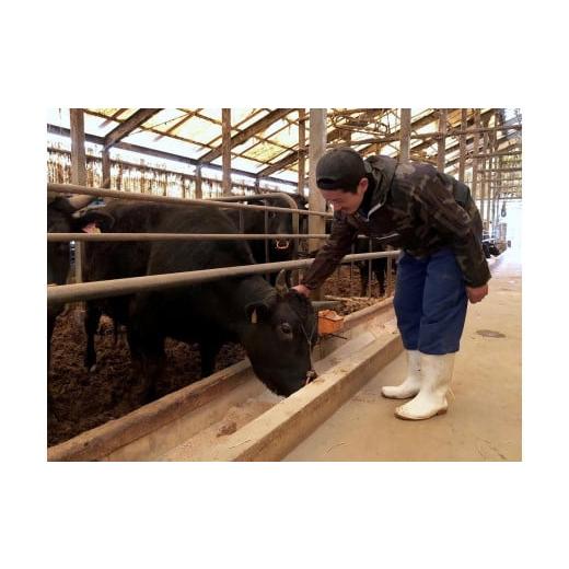 ふるさと納税 牛肉 ハンバーグ 福岡県 大川市 (全5回定期便) A5〜4等級 博多和牛100％使用 博多和牛ハンバーグ 10個_6