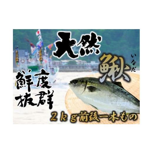 ふるさと納税 旬の鮮魚等 北海道 古平町 0500A 古平産イナダ1尾