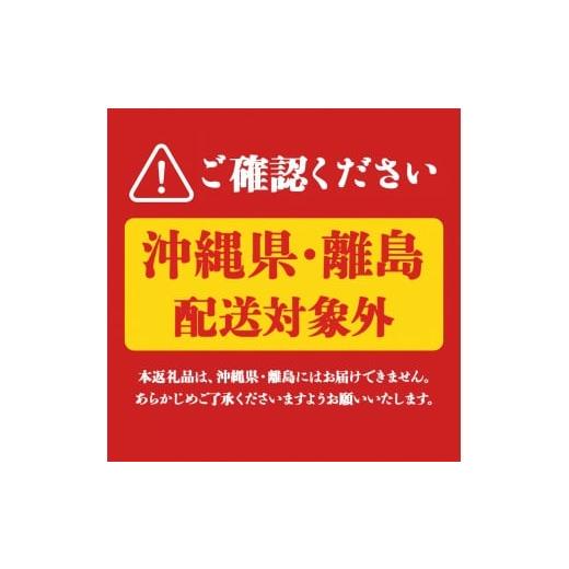 ふるさと納税 水・ミネラルウォーター 2.1L〜 鹿児島県 垂水市 I9-2214／ 6回定期 天然アルカリ温泉水 財寶温泉 20L×2箱の画像