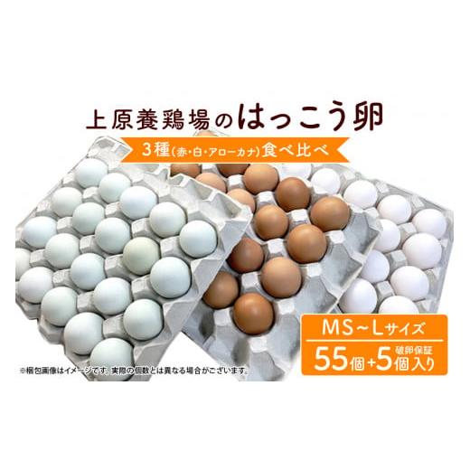 ふるさと納税 沖縄県 糸満市 上原養鶏場のはっこう卵 3種食べ比べMS~Lサイズ 55個+破卵保障5個
