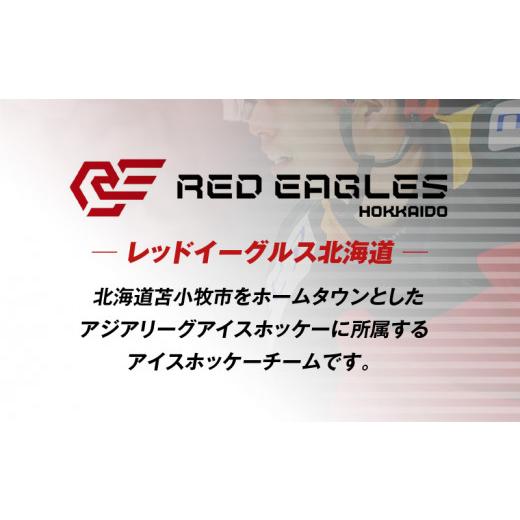 ふるさと納税 服 北海道 苫小牧市 2025-2026シーズン オーセンティックユニフォーム・アウェー・オリジナル背番号＆NAME　T018-007の画像