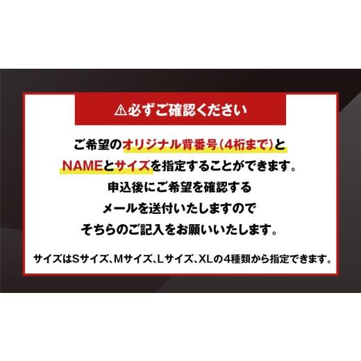ふるさと納税 服 北海道 苫小牧市 2025-2026シーズン オーセンティックユニフォーム・ホーム・オリジナル背番号＆NAME　T018-005の画像