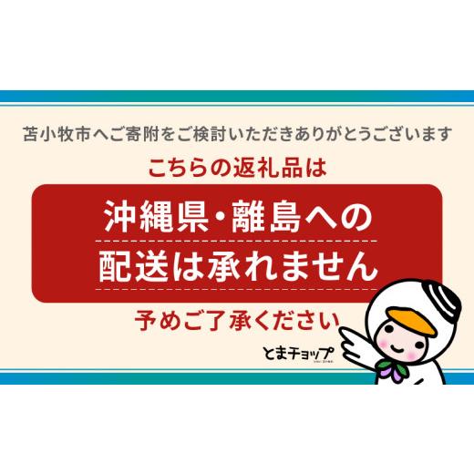 ふるさと納税 服 北海道 苫小牧市 2025-2026シーズン オーセンティックユニフォーム・ホーム・オリジナル背番号＆NAME　T018-005の画像