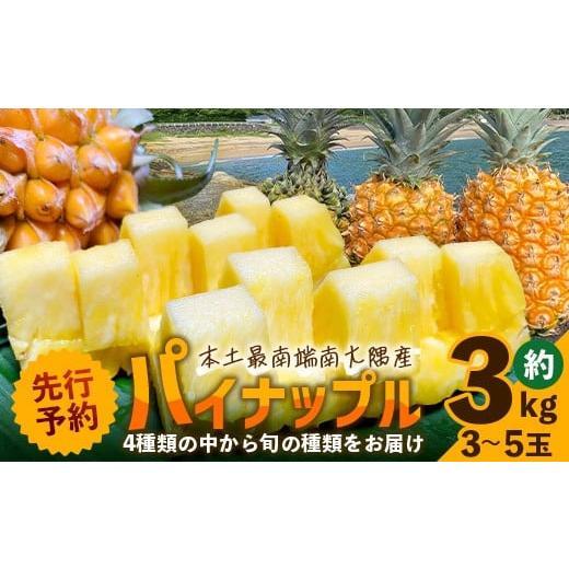 ふるさと納税 果物類 鹿児島県 南大隅町 先行予約・数量限定 国産