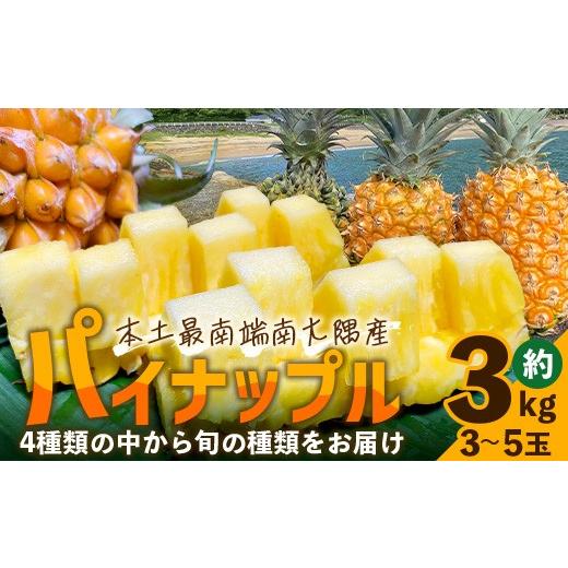 ふるさと納税 果物類 鹿児島県 南大隅町 数量限定 国産パイナップル 約