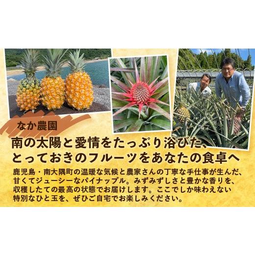 ふるさと納税 果物類 鹿児島県 南大隅町 2027年発送先行予約 数量限定