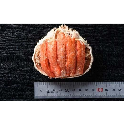 ふるさと納税 カニ ずわいガニ 北海道 森町 北海道産 オオズワイガニ甲羅盛（約80-90g）×3個 かにみそ無し 道産ネットミツハシ かに カニ ズワイ蟹 北海道 森…の画像