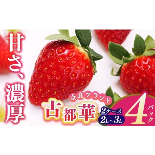 ふるさと納税 いちご 奈良県 平群町 平群 の 古都華 2L 〜 3L サイズ (2パック 2ケース) 計4パック | 先行予約 フルーツ 果物 くだもの ブランド いちご 苺 …