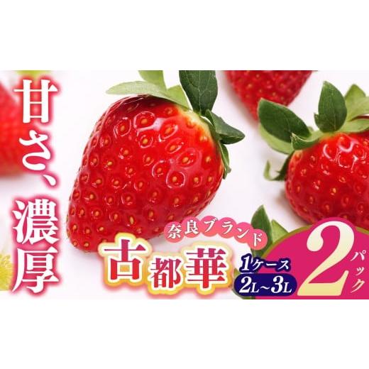 ふるさと納税 いちご 奈良県 平群町 平群 の 古都華 2L〜3Lサイズ ( 2パック 1ケース) 計2パック 辻本農園 | 先行予約 フルーツ 果物 くだもの ブランド い…