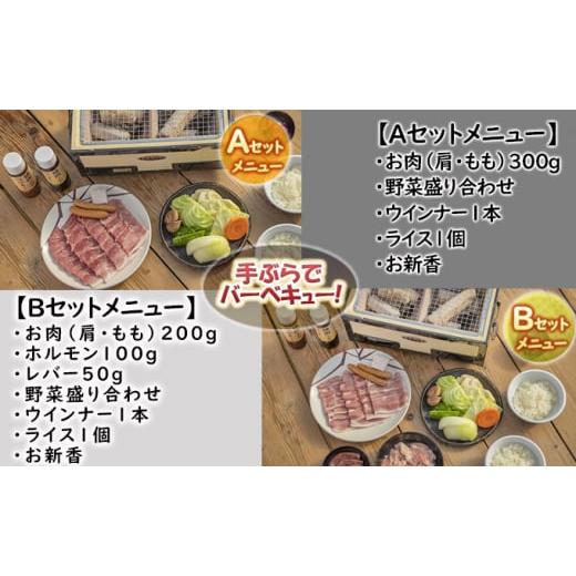 ふるさと納税 体験チケット 宮城県 大河原町 もちぶたを堪能できる手ぶらでバーべキュー Bコース バーべキューB