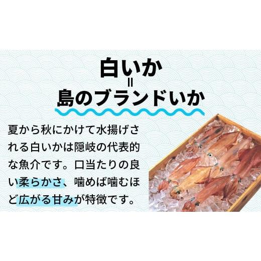 ふるさと納税 島根県 海士町 【高級白いか丸ごと 100g×3杯セット】ぷりぷり甘い高級白いかを朝どれ鮮度でお送りします! いか イカ 白いか ケンサキイカ 刺身 …｜furusatochoice｜03