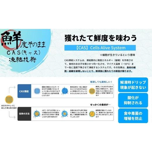 ふるさと納税 島根県 海士町 【高級白いか丸ごと 100g×3杯セット】ぷりぷり甘い高級白いかを朝どれ鮮度でお送りします! いか イカ 白いか ケンサキイカ 刺身 …｜furusatochoice｜07