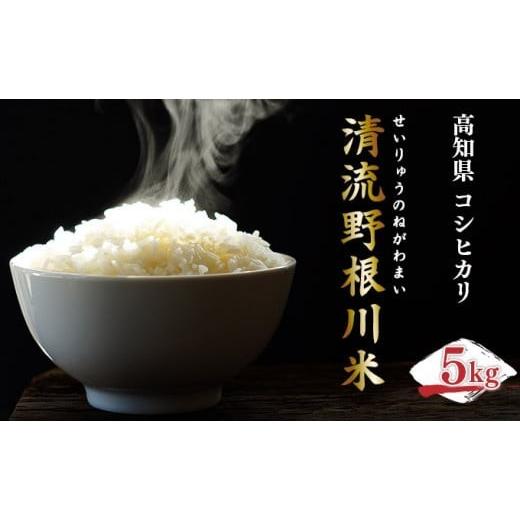 ふるさと納税 米 コシヒカリ 高知県 東洋町 先行予約 清流野根川米( コシヒカリ )10kg 令和8年度産 東洋町産 国産 白米 精米 米 コメ こめ もっちり 四…