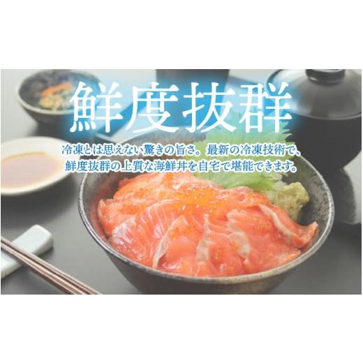 ふるさと納税 福井県 鯖江市 【刺身用】海鮮丼の具 サーモンいくら 60g（タレ付）× 5人前 【最新の冷凍技術】[B-11018]｜furusatochoice｜05