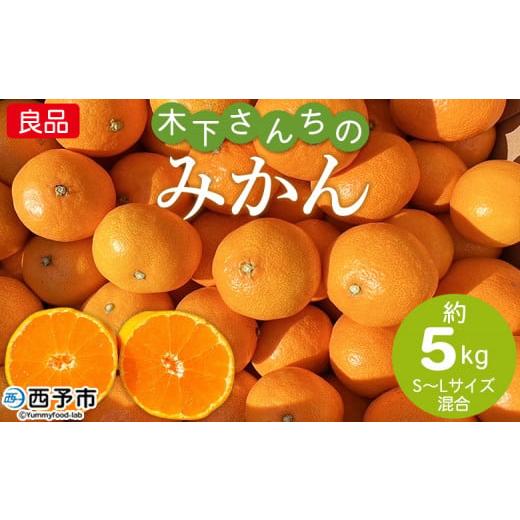 ふるさと納税 果物類 みかん 愛媛県 西予市 木下さんちのみかん 良品 約5kg(S〜Lサイズ混合) 柑橘類 温州みかん ミカン 果物 くだもの フルーツ 特産品 木…