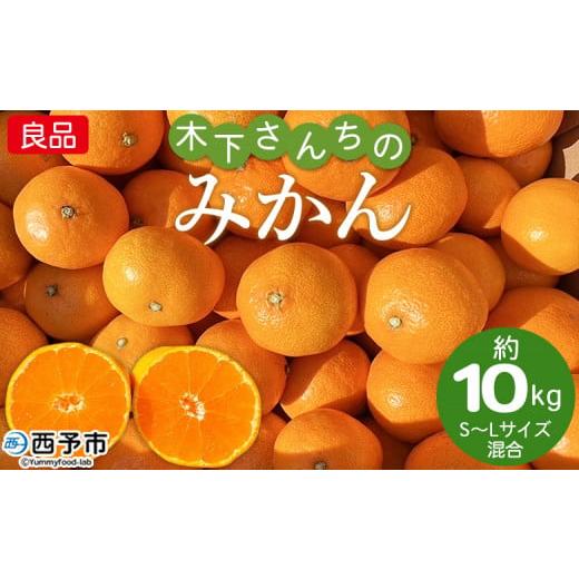 ふるさと納税 果物類 みかん 愛媛県 西予市 木下さんちのみかん 良品 約10kg(S〜Lサイズ混合) 柑橘類 温州みかん ミカン 果物 くだもの フルーツ 特産品 木…