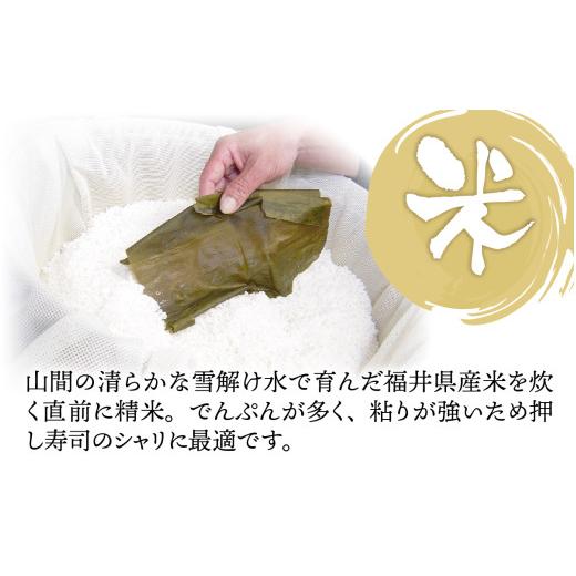ふるさと納税 寿司 福井県 福井市  おためしサイズ 贅沢すぎる ご褒美寿司 生さば寿司 ＆ 若狭牛炙りロース寿司 B-013035 ／ お試し 生鯖 鯖寿司 すし 鯖すし …の画像