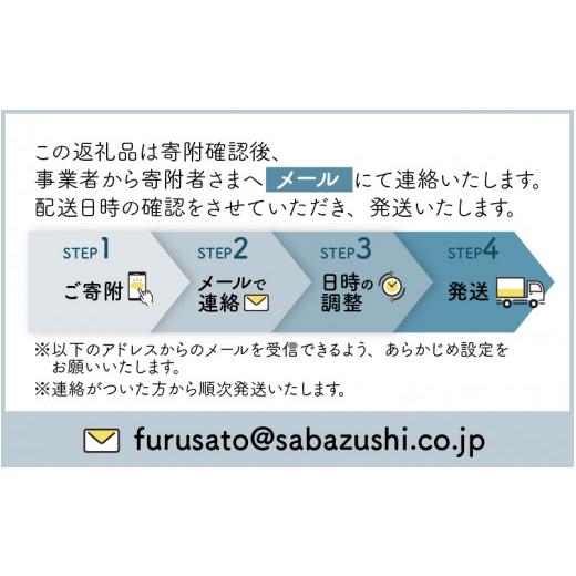 ふるさと納税 寿司 福井県 福井市  おためしサイズ 贅沢すぎる ご褒美寿司 生さば寿司 ＆ 若狭牛炙りロース寿司 B-013035 ／ お試し 生鯖 鯖寿司 すし 鯖すし …の画像