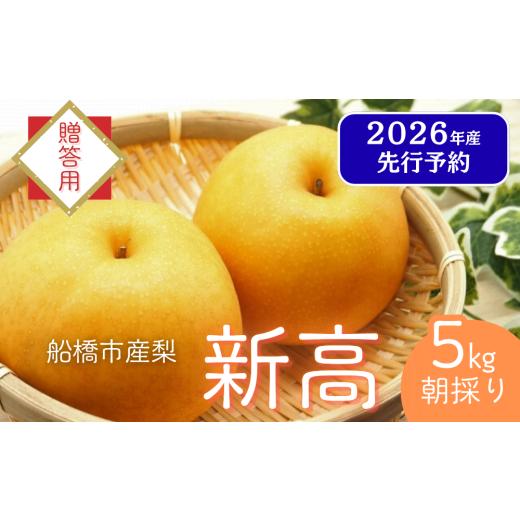 ふるさと納税 梨 千葉県 船橋市 2026年産先行予約 贈答用 果汁たっぷりの極上梨「新高・5kg」6〜8玉 千葉県 船橋市産 エコチョク