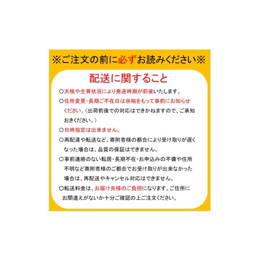 ふるさと納税 千葉県 船橋市 2024年発送分【贈答用】果汁たっぷり船橋の極上梨「新高」5kg　果汁たっぷり　船橋産　9月上中旬発送　期間限定　特大級　梨　夏…｜furusatochoice｜06