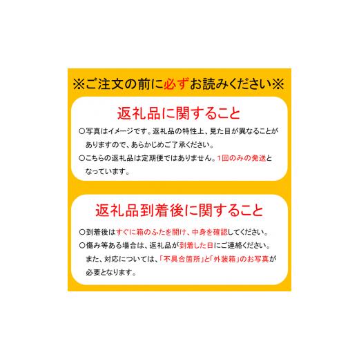 ふるさと納税 千葉県 船橋市 2024年発送分【贈答用】果汁たっぷり船橋の極上梨「新高」5kg　果汁たっぷり　船橋産　9月上中旬発送　期間限定　特大級　梨　夏…｜furusatochoice｜07