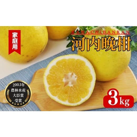 ふるさと納税 みかん・柑橘類 愛媛県 愛南町 先行受付 河内晩柑 正品 3kg 発送 2025年 樹齢25年以上 柑橘 かんきつ 蜜柑 みかん 愛南ゴールド サイズミックス …
