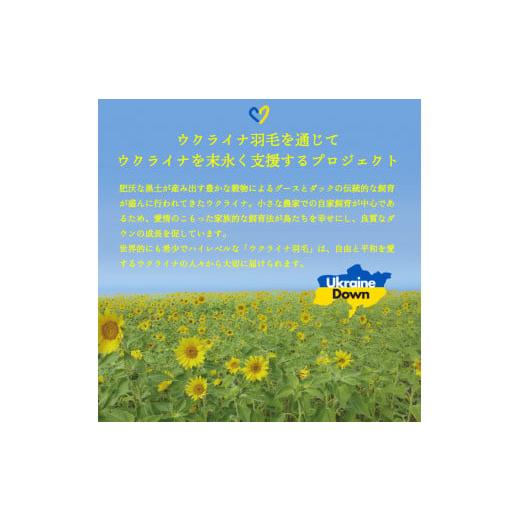 ふるさと納税 タオル・寝具 掛け布団 山梨県 富士吉田市  甲州羽毛本掛けふとん ウクライナホワイトマザーグース95%抗菌の糸 ホワイト（ダブル) ふとんカバー…_3