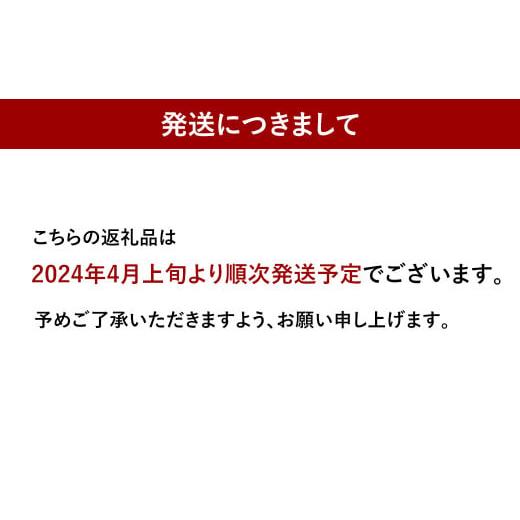 ふるさと納税 福岡県 太宰府市 【2024年4月上旬より順次発送】福岡県産 冷凍あまおう 1.6kg 800g×2パック｜furusatochoice｜06