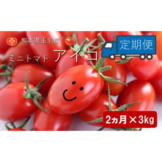ふるさと納税 トマト ミニトマト 熊本県 玉名市 ミニトマト アイコ 2ヶ月定期便 | 野菜 やさい トマト とまと みにとまと 熊本県 玉名市 定期 定期便