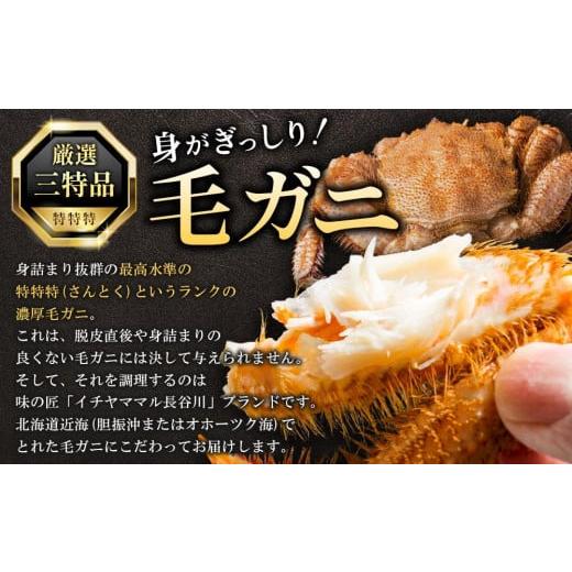 ふるさと納税 北海道 八雲町 【年内発送】【厳選三特品】北海道産近海毛ガニ550g前後×2尾 【 毛がに 北海道 かに 蟹 かにみそ 小分け 毛蟹 八雲 海産物 魚介… 北海道 毛がに 冷蔵
