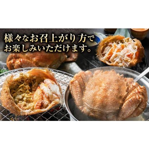 ふるさと納税 北海道 八雲町 【年内発送】【厳選三特品】北海道産近海毛ガニ550g前後×2尾 【 毛がに 北海道 かに 蟹 かにみそ 小分け 毛蟹 八雲 海産物 魚介… 北海道 毛がに 冷蔵