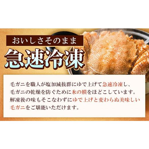 ふるさと納税 北海道 八雲町 【年内発送】【厳選三特品】北海道産近海毛ガニ550g前後×2尾 【 毛がに 北海道 かに 蟹 かにみそ 小分け 毛蟹 八雲 海産物 魚介… 北海道 毛がに 冷蔵