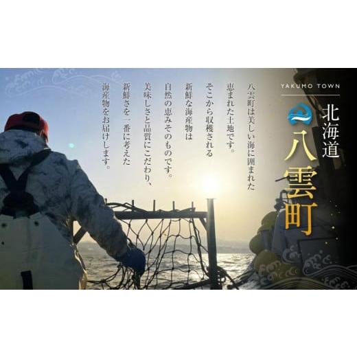 ふるさと納税 北海道 八雲町 【年内発送】【厳選三特品】北海道産近海毛ガニ550g前後×2尾 【 毛がに 北海道 かに 蟹 かにみそ 小分け 毛蟹 八雲 海産物 魚介… 北海道 毛がに 冷蔵