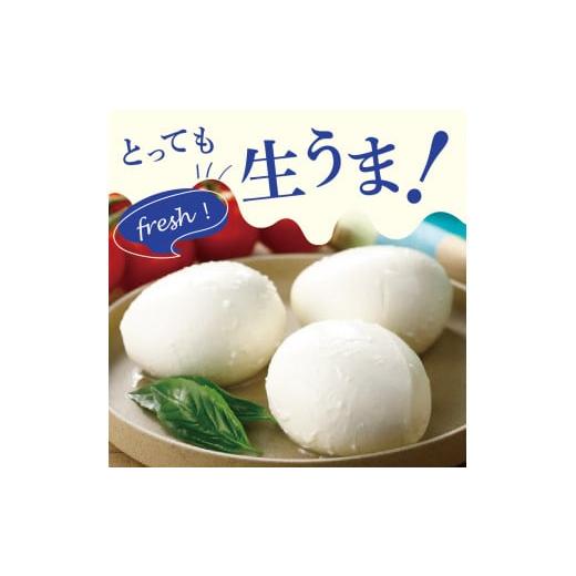 ふるさと納税 加工品等 チーズ 北海道 芽室町  3ヵ月定期便 明治北海道十勝チーズ 生モッツァレラ６個 セット 計3回 me003-070-t3c ／おつまみ 冷蔵便 詰め合…_2
