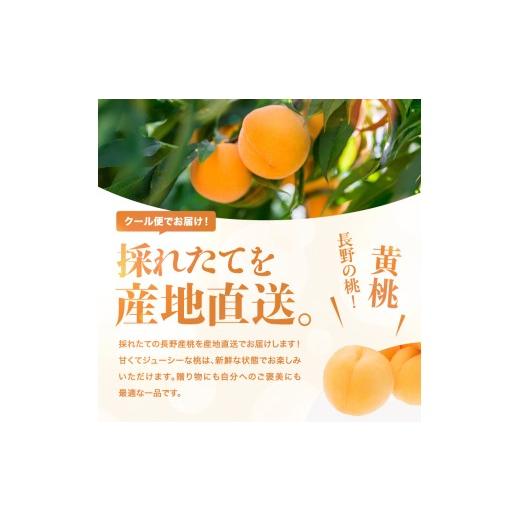 ふるさと納税 もも 長野県 飯田市 南信州産 黄桃 約3kg 2026年8月下旬〜9月下旬発送 | 果物 くだもの フルーツ 柿 桃 もも 黄桃 ジューシー 長野県 信州 南信…の画像