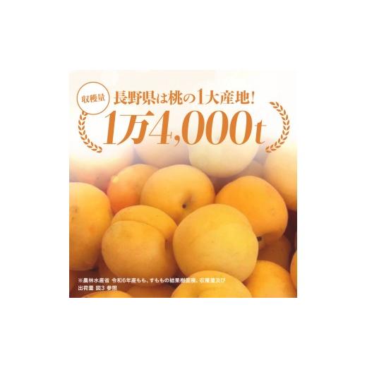 ふるさと納税 もも 長野県 飯田市 南信州産 黄桃 約3kg 2026年8月下旬〜9月下旬発送 | 果物 くだもの フルーツ 柿 桃 もも 黄桃 ジューシー 長野県 信州 南信…の画像