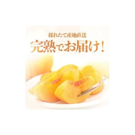 ふるさと納税 もも 長野県 飯田市 南信州産 黄桃 約3kg 2026年8月下旬〜9月下旬発送 | 果物 くだもの フルーツ 柿 桃 もも 黄桃 ジューシー 長野県 信州 南信…の画像