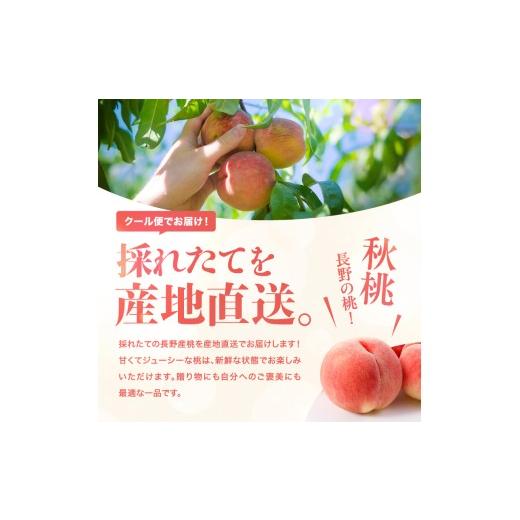 ふるさと納税 もも 長野県 飯田市 南信州産 秋桃 白桃 約3kg 2026年8月下旬〜9月下旬発送 | 果物 くだもの フルーツ 柿 桃 もも 白桃 秋桃 ジューシー 長野県 …の画像