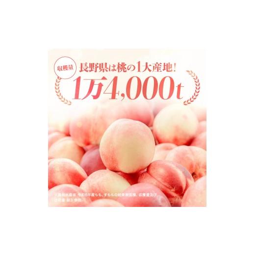 ふるさと納税 もも 長野県 飯田市 南信州産 秋桃 白桃 約3kg 2026年8月下旬〜9月下旬発送 | 果物 くだもの フルーツ 柿 桃 もも 白桃 秋桃 ジューシー 長野県 …の画像