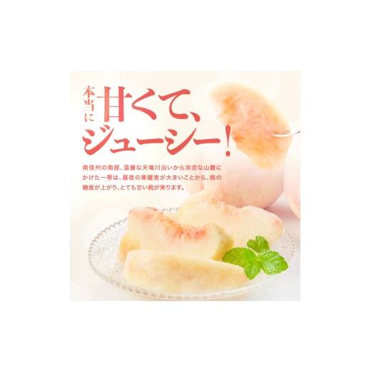 ふるさと納税 もも 長野県 飯田市 南信州産 秋桃 白桃 約3kg 2026年8月下旬〜9月下旬発送 | 果物 くだもの フルーツ 柿 桃 もも 白桃 秋桃 ジューシー 長野県 …の画像