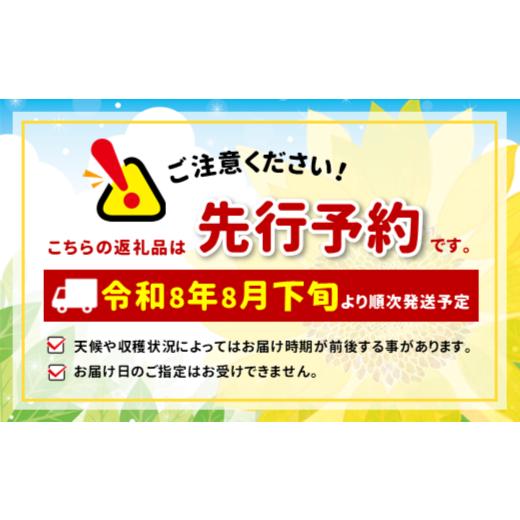ふるさと納税 もも 長野県 飯田市 南信州産 秋桃 白桃 約3kg 2026年8月下旬〜9月下旬発送 | 果物 くだもの フルーツ 柿 桃 もも 白桃 秋桃 ジューシー 長野県 …の画像