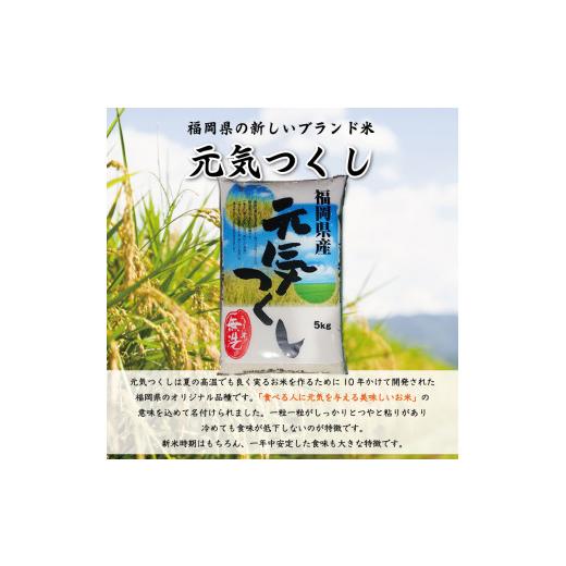 ふるさと納税 福岡県 添田町 福岡県産 元気つくし 無洗米 5kg(5kg×1) [a9196] 株式会社 藤食糧 【返礼品】添田町 ふるさと納税｜furusatochoice｜03