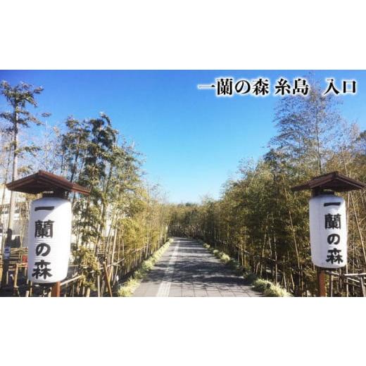 ふるさと納税 福岡県 糸島市 一蘭 ラーメン 博多細麺 5食 ひのき箸セット 替玉10食分付 糸島市 ／ 一蘭 らーめん 麺 拉麺 [AMB013]｜furusatochoice｜07