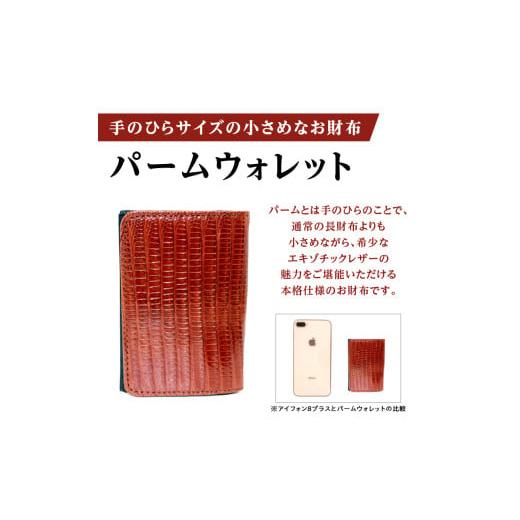 ふるさと納税 財布 東京都 台東区 パームウォレット テジュー（トカゲ革） (全3色) (カラー：ブラウン) ブラウンの画像