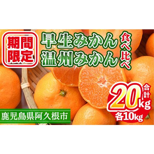 ふるさと納税 果物類 みかん 鹿児島県 阿久根市 先行予約受付中 2025年12月上旬以降順次発送予定 数量限定 早生・温州ミカン食べ比べセット(合計20kg・各10kg…