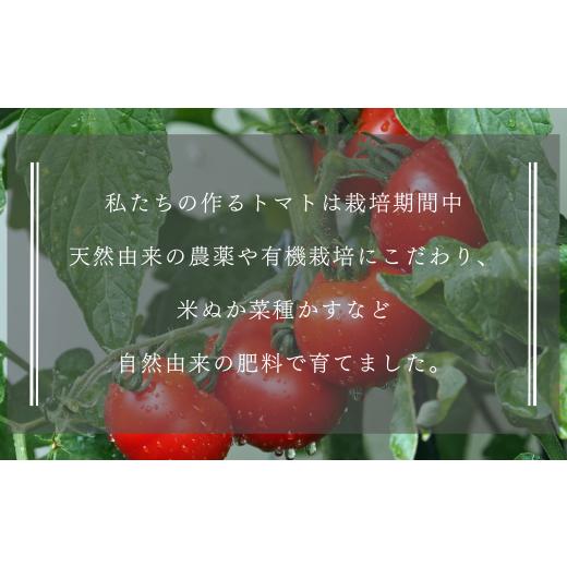 ふるさと納税 果汁飲料 トマト 長野県 佐久穂町 定期便２ヵ月 有機トマトだけで作った無添加100％トマトジュース 180ml×20本 計40本（ST-T513） 180ml×20…の画像
