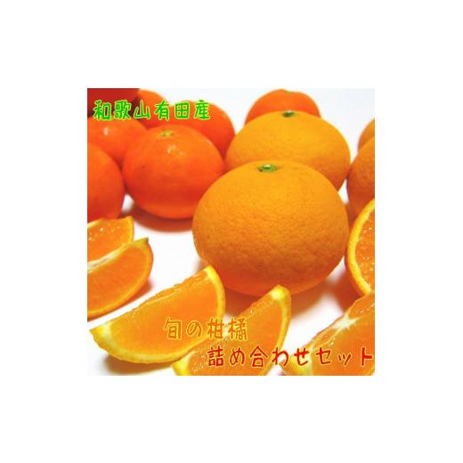 ふるさと納税 果物類 みかん 和歌山県 印南町 有田育ちの 旬の 柑橘 詰合せセット(ご家庭用)約2.5kg[先行予約][MS63]