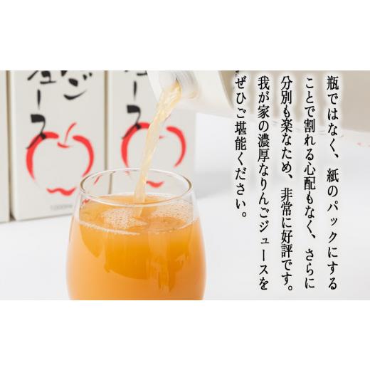 ふるさと納税 長野県 飯綱町 りんごジュース 1000ml × 12本 無添加 酸化防止剤不使用 果汁100% 紙パック アグリファーム小林 2023年6月中旬頃から2024年3月中… 