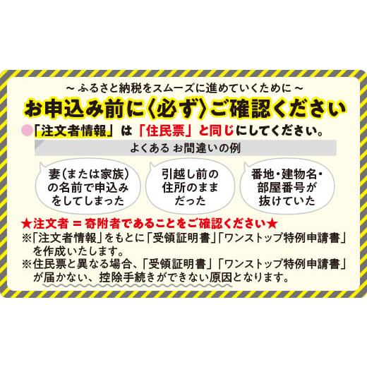 ふるさと納税 長野県 飯綱町 りんごジュース 1000ml × 12本 無添加 酸化防止剤不使用 果汁100% 紙パック アグリファーム小林 2023年6月中旬頃から2024年3月中… 
